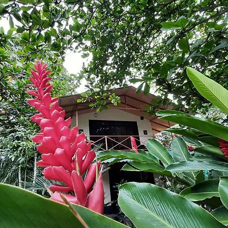 Casa Martina Lejlighed Cahuita Eksteriør billede